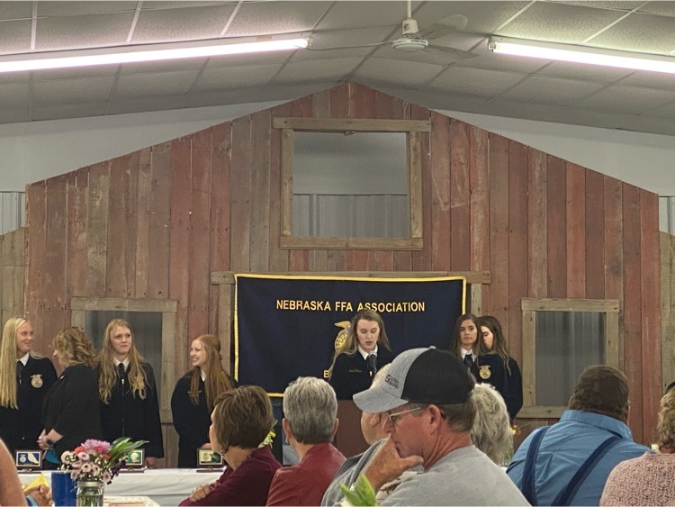 BeMis FFA