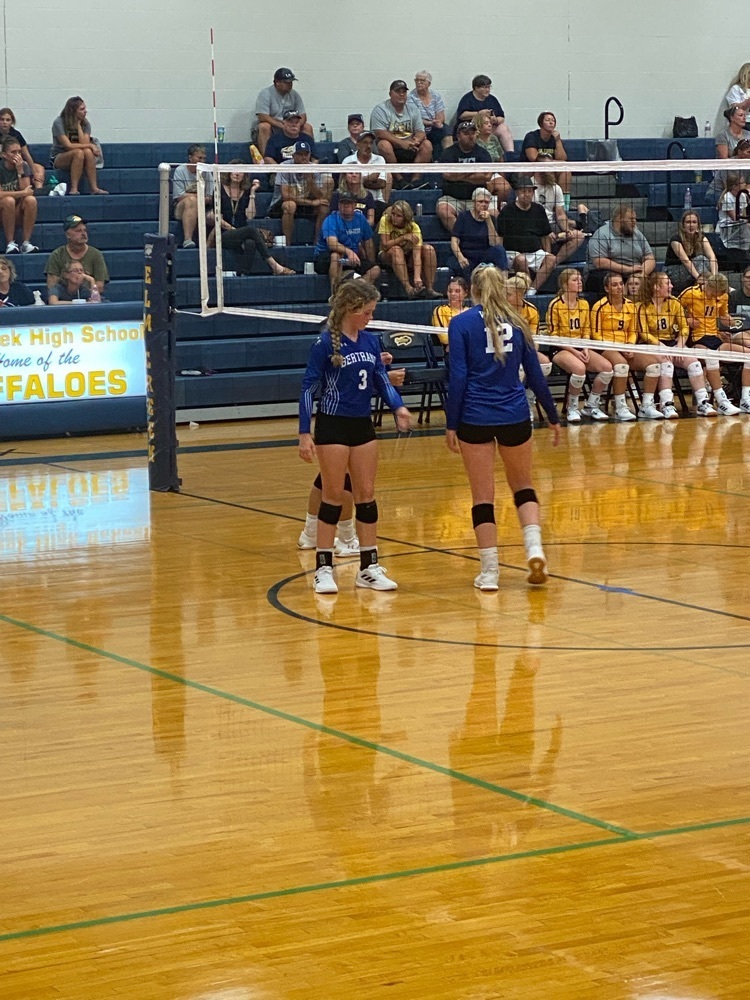 VB