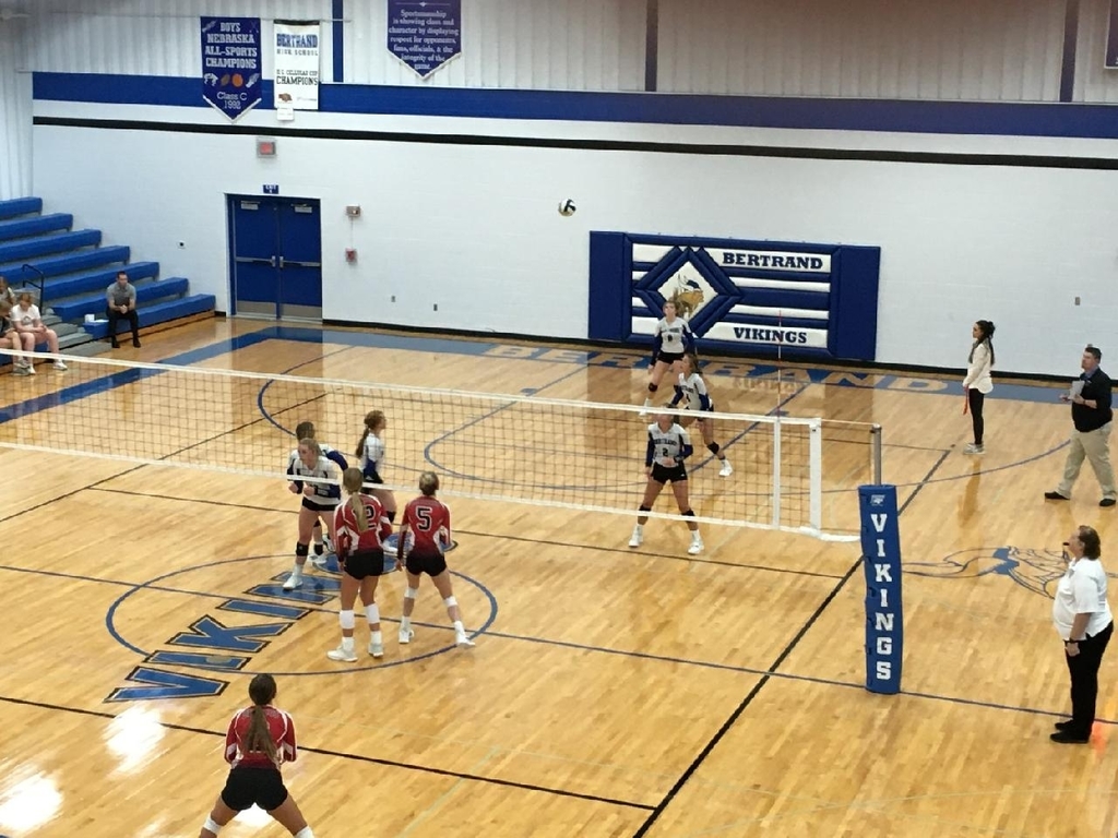 Lady Vikings in action