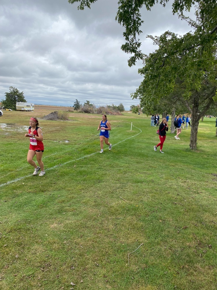 XC